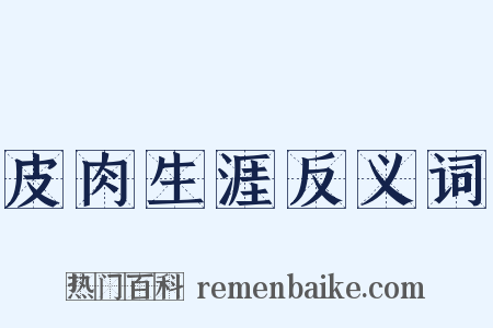 皮肉生涯反义词是什么意思的图片